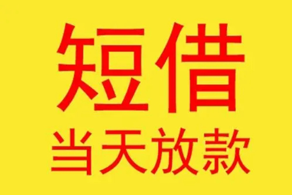 重庆私借公司户汽车押车贷款